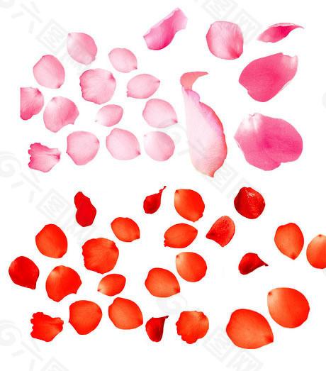 诚利和 投资者参与科创板可转债转股，需符合科创板投资门槛