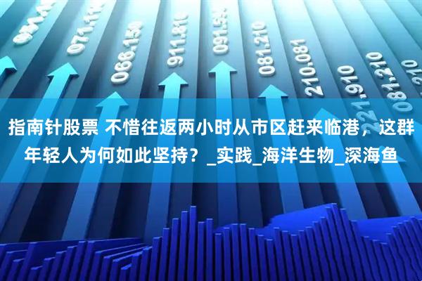 指南针股票 不惜往返两小时从市区赶来临港，这群年轻人为何如此坚持？_实践_海洋生物_深海鱼